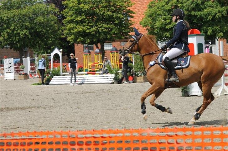 Svensk Sportspony  Funnys Fantasia - Mb, landsstævne i næstved d. 15 juni 2012 - efter at have haft hende i 5 dage  :-) billede 1