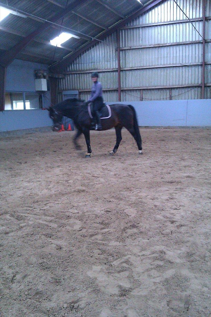 Anden særlig race Labell billede 8