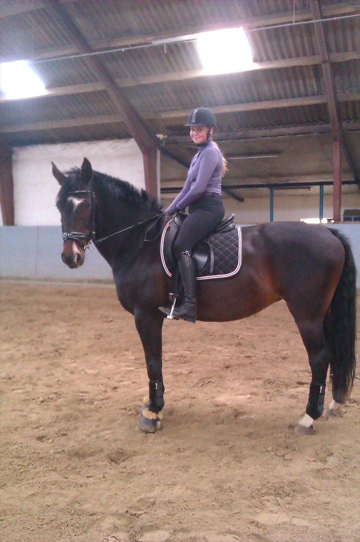 Anden særlig race Labell billede 9