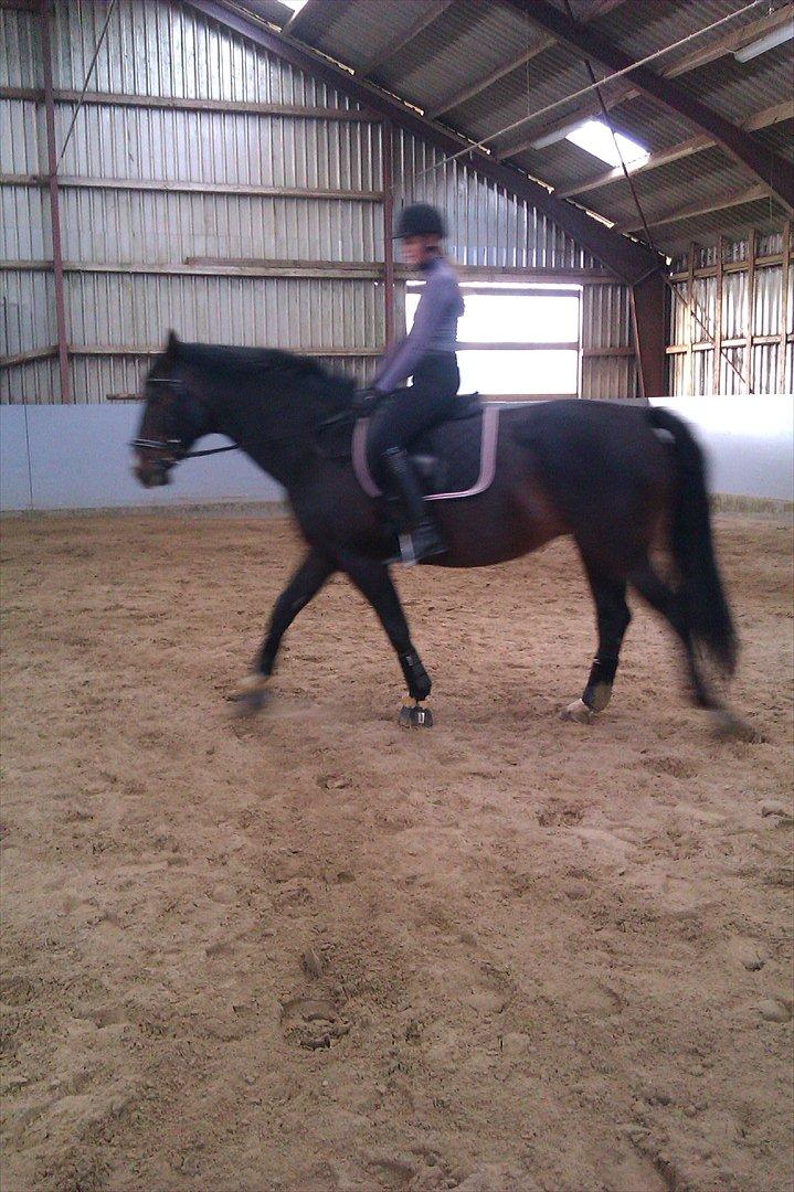 Anden særlig race Labell billede 10