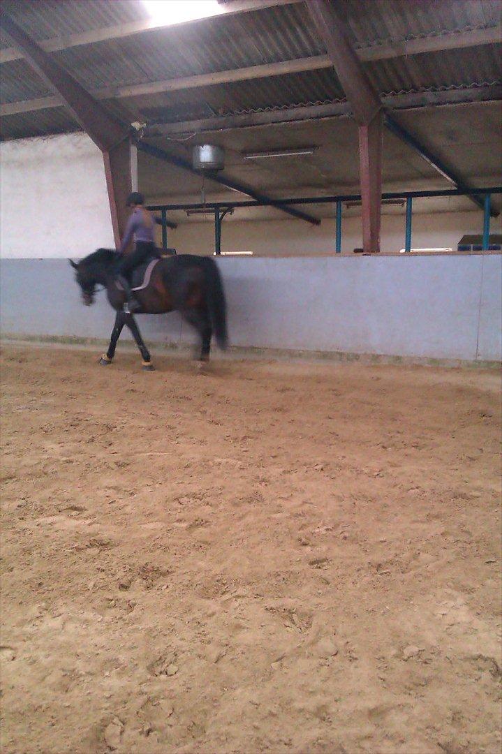 Anden særlig race Labell billede 11