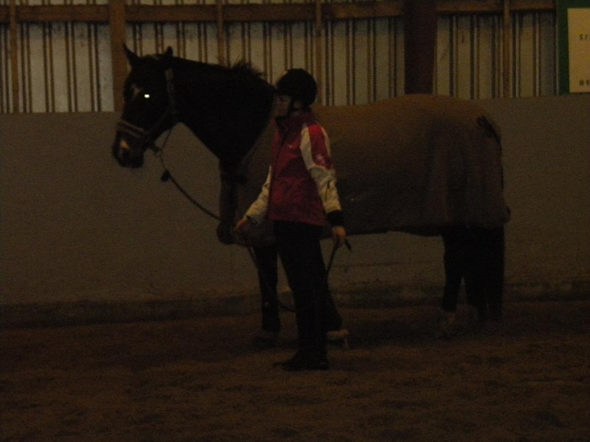 Anden særlig race Labell billede 16