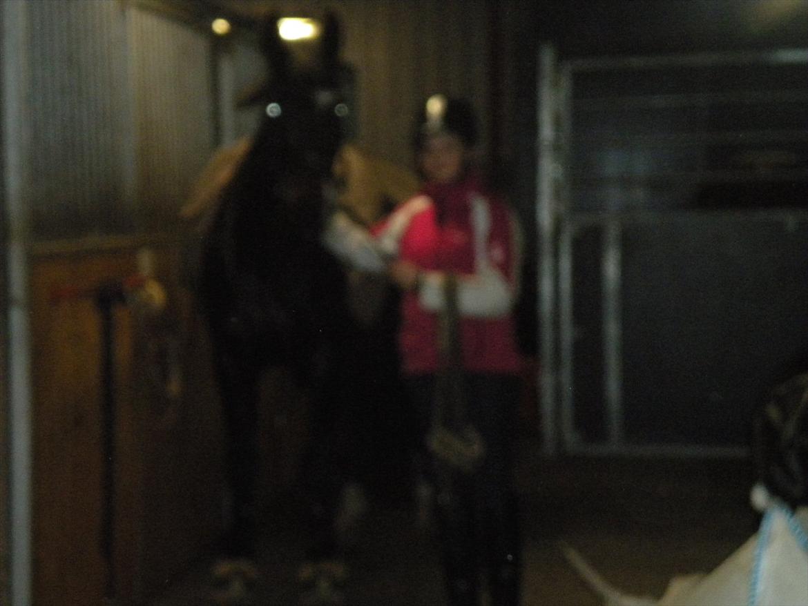 Anden særlig race Labell billede 17