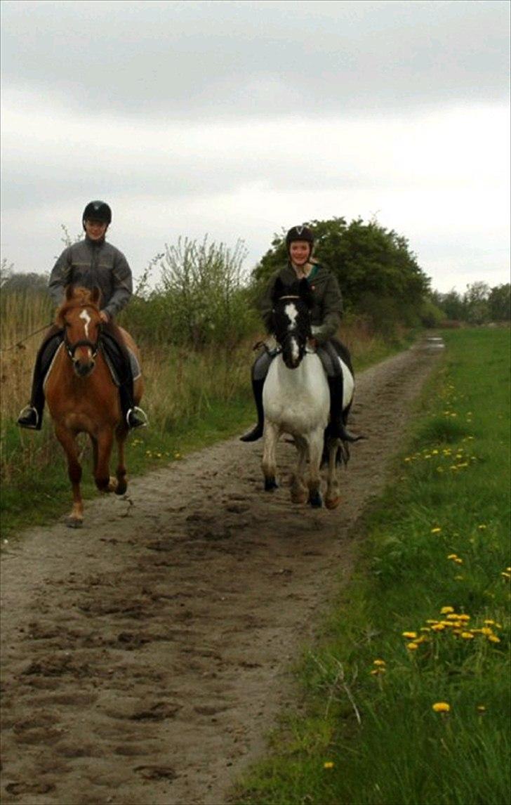 Anden særlig race Soffy billede 1