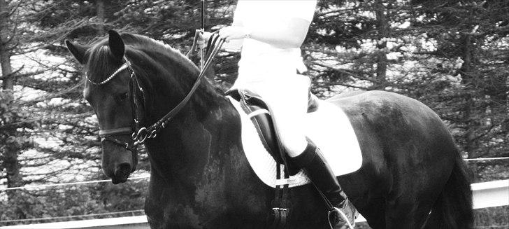 Frieser Teske Van Het Zuidereind billede 1