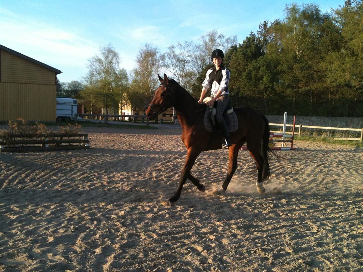 Anden særlig race Bruno Hartvig - Forår 2012 billede 6