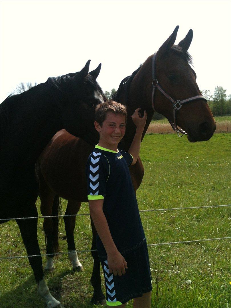 Anden særlig race Bruno Hartvig - Bruno og min lillebror, på sommerfolden :) billede 7