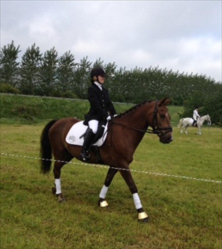 DSP Horsmarks Liberkin (DSP) - Stævne Vester Hassing 2012 billede 12