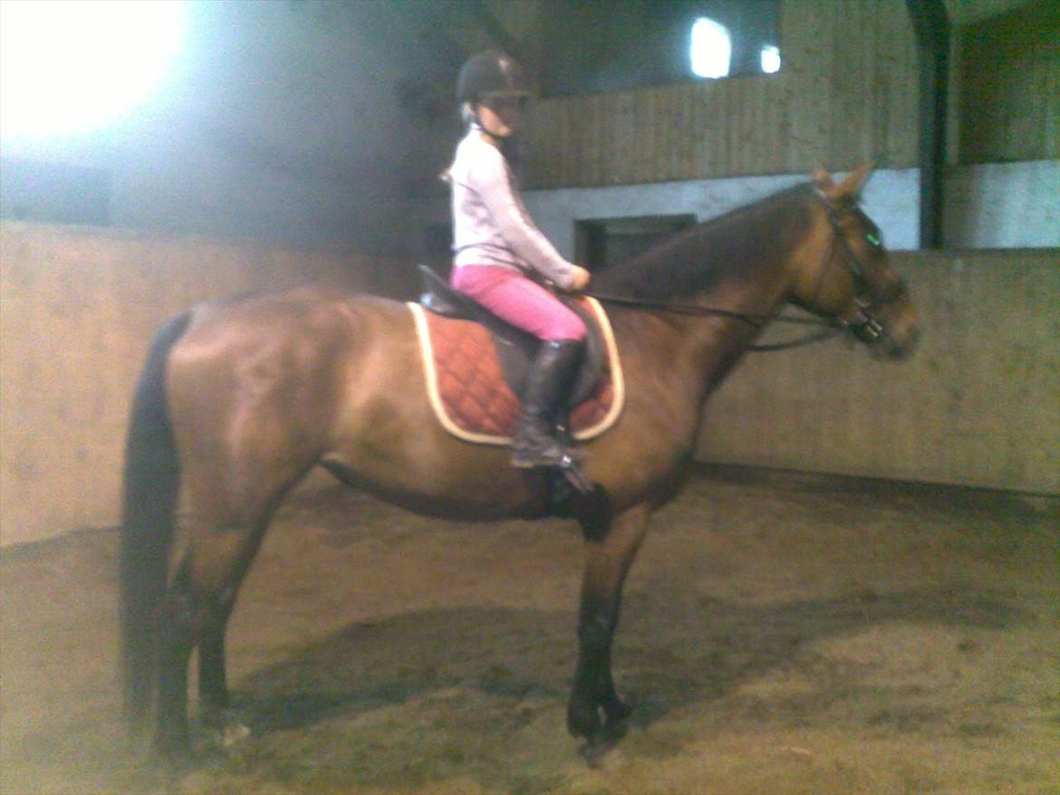 Oldenborg Horsmarks Unella - en Meget stolt lille rytter :O) billede 10