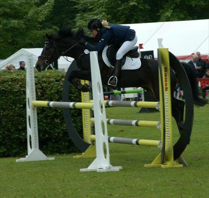 DSP Samara Spring pony billede 11