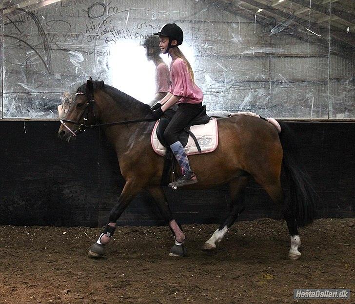 DSP Tværhøjgårds Athene ( mit et og alt )<3 - i love you

©LDH • O'malley!:-D har taget det



 


 billede 7