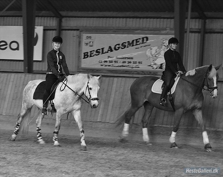 Anden særlig race Tiarco Brentedal - Taget af Emma Salling Evertsen Andersen © - Skridter varm med Emma og søde Macado :) billede 6