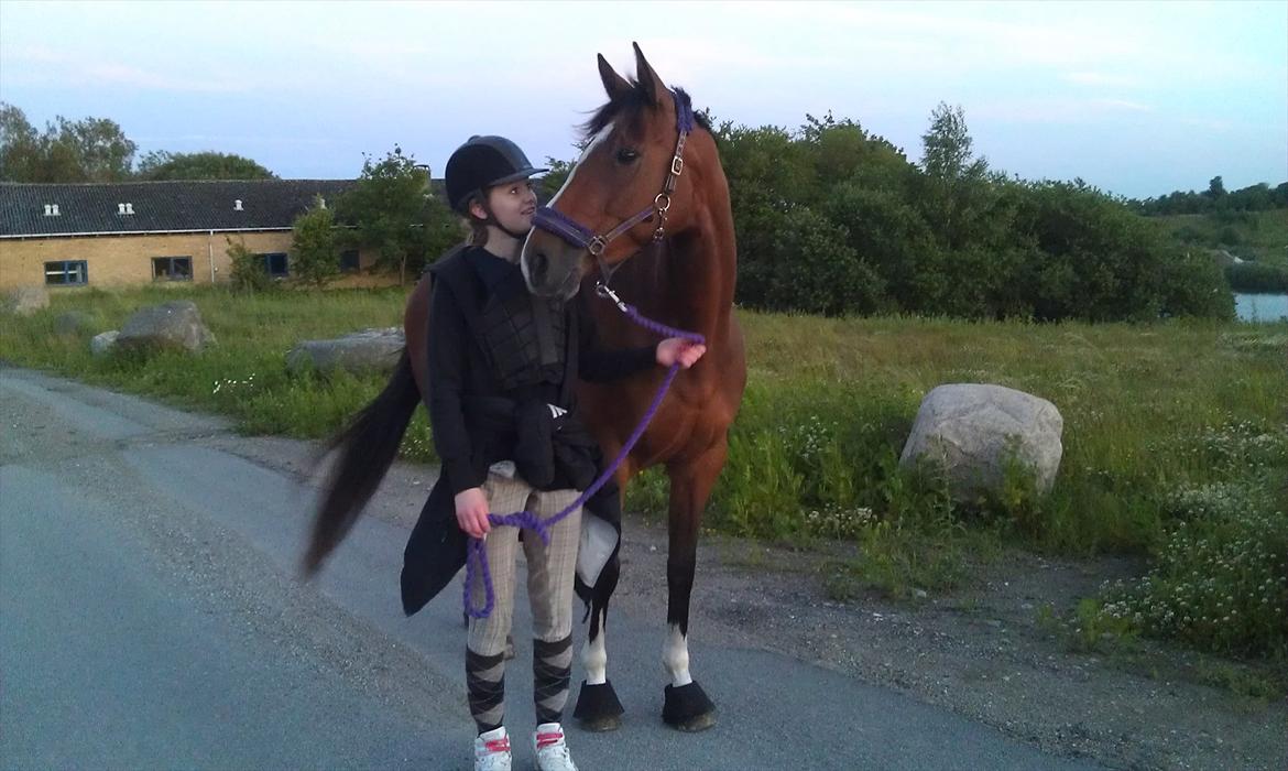 Fuldblod (XX) Rock The Socks - På en super hyggelig aftentur halv eleve om aftnen<3! Hun er så fantastisk! JUNI 2012 *Foto: mor* billede 3