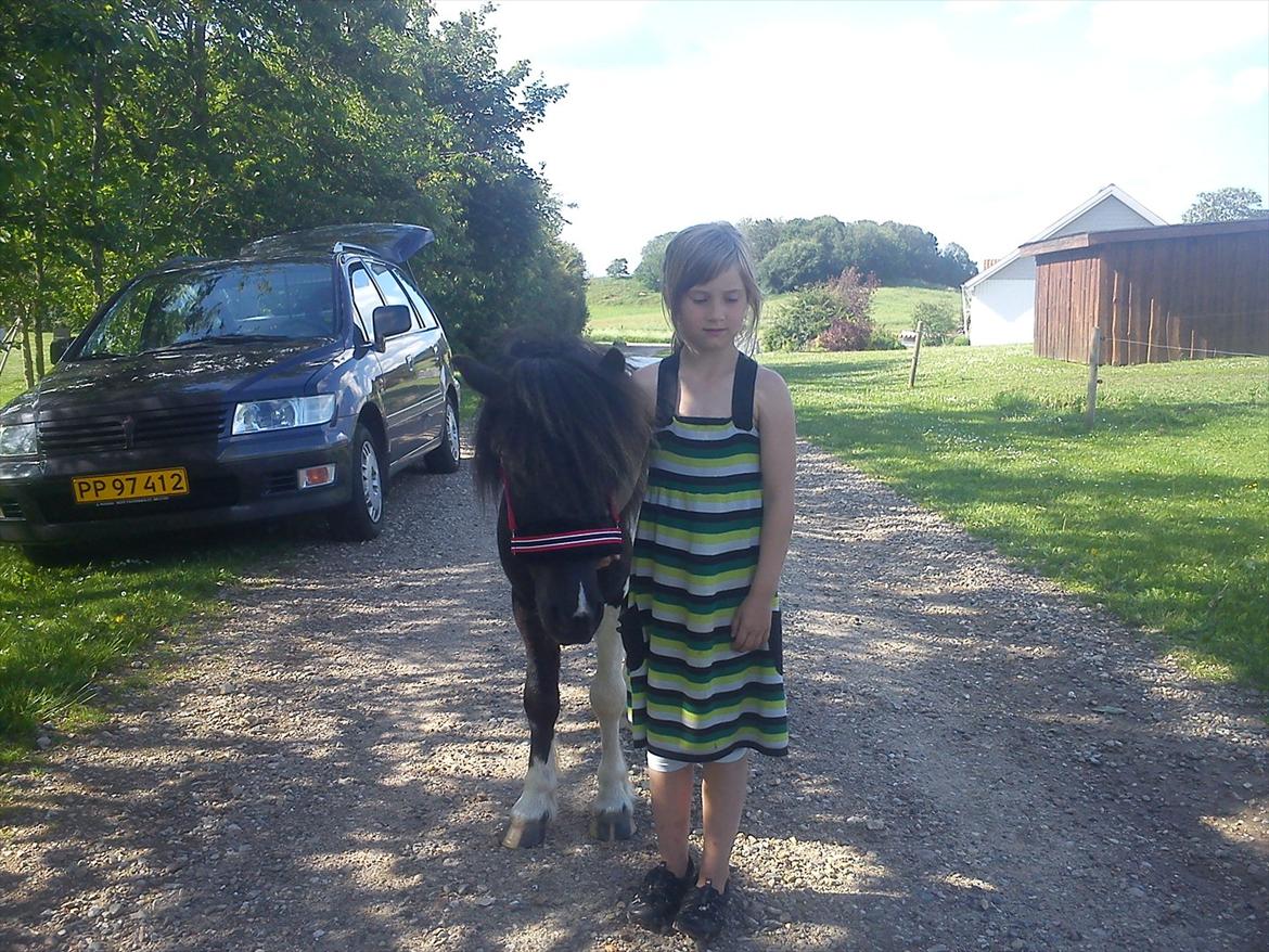 Anden særlig race Cowi - det her er så sjovt at komme ud  billede 10