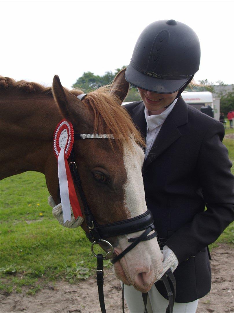 Palomino Yaspisgårds Gallon - Første stævne, LD2 65% billede 5