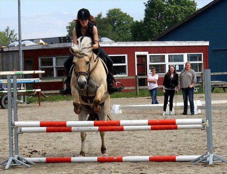 Fjordhest » Dino - Mig og dejlige Dino:-). billede 8