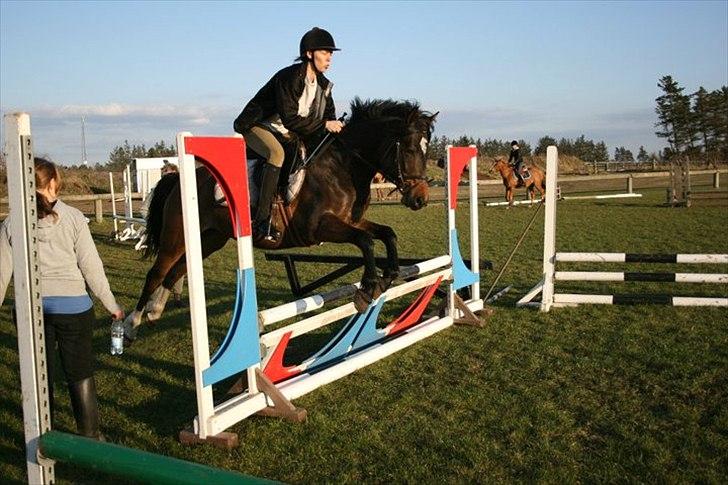 Tysk Sportspony Fairly's Break-Dancer <3 - Min super seje mor springer Breaker<3 billede 13