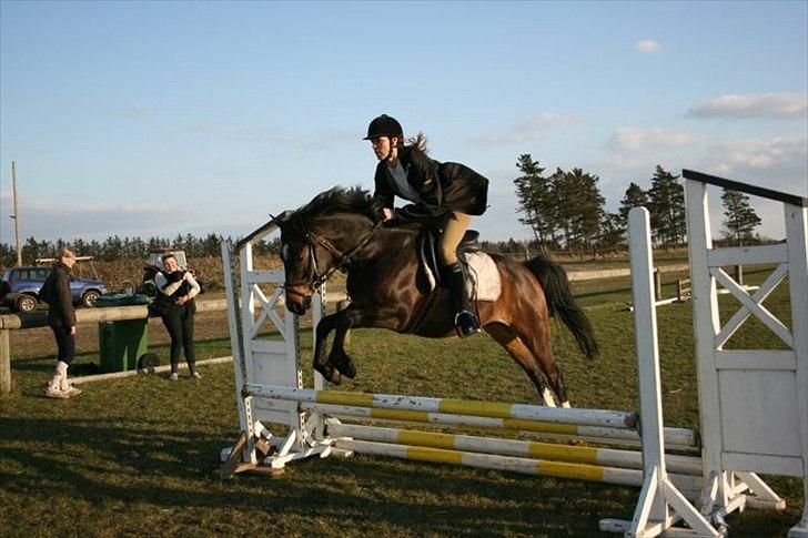 Tysk Sportspony Fairly's Break-Dancer <3 - Min seje mor springer Breaker <3 billede 12