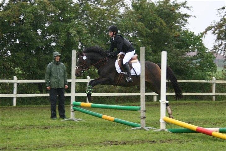 Tysk Sportspony Fairly's Break-Dancer <3 - Sabrina springer på Breaker til stævne i Sevel. Hun fik en 3.plads <3 billede 14