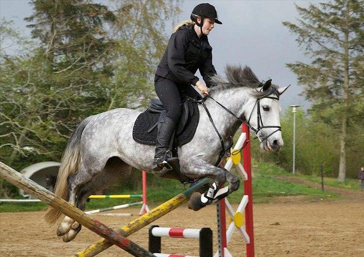 Anden særlig race Kenya billede 3