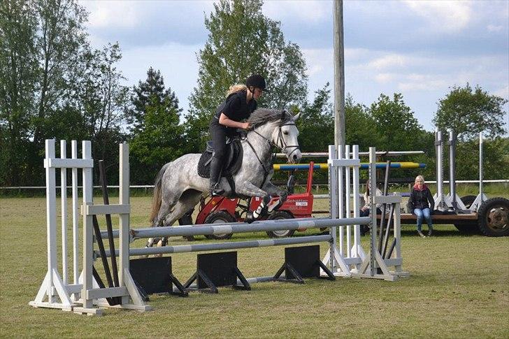 Anden særlig race Kenya billede 5