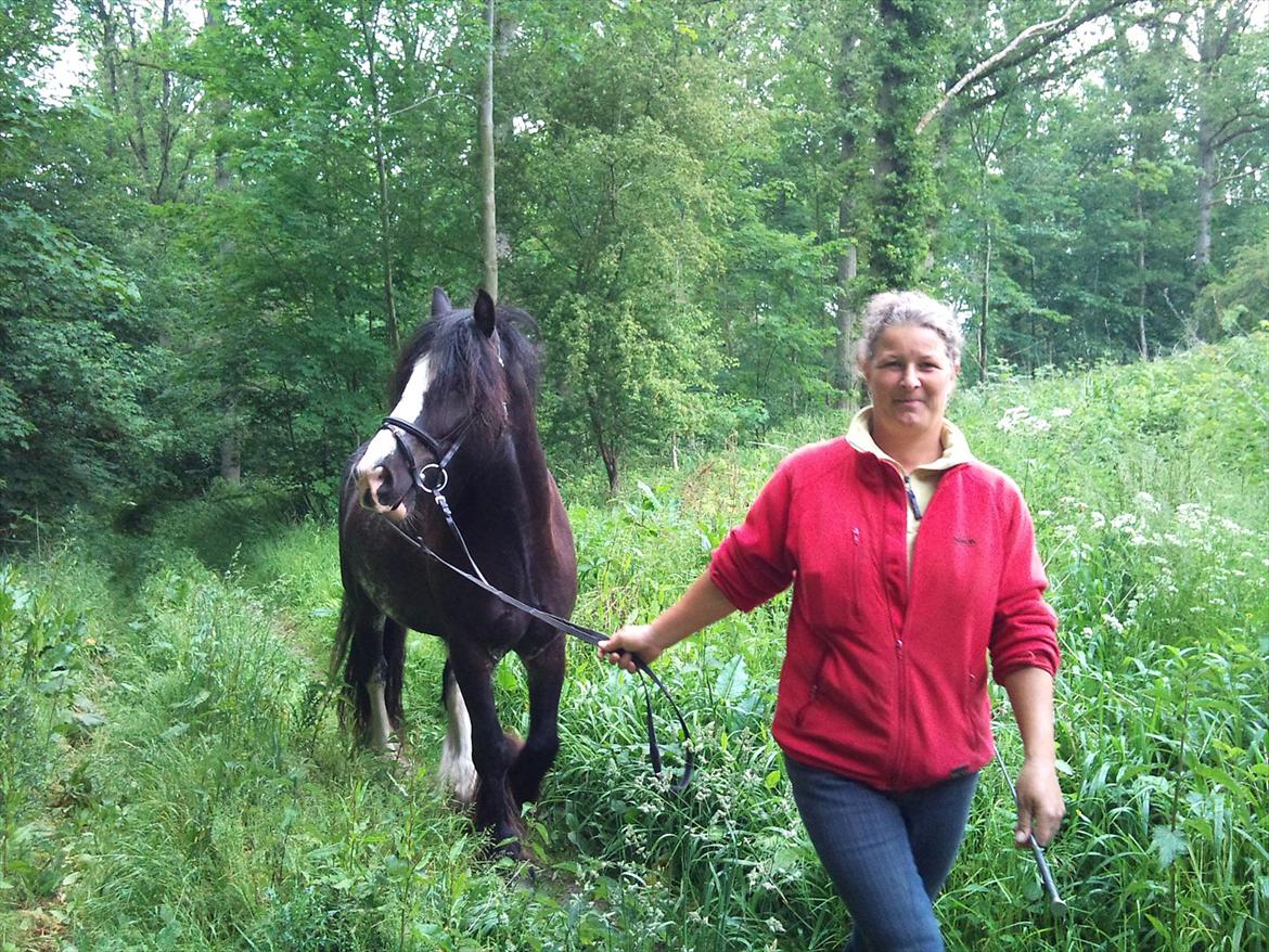 Tinker The Gypsy Spirit of Irish - Basse og mig på skovturs hygge :0) billede 19