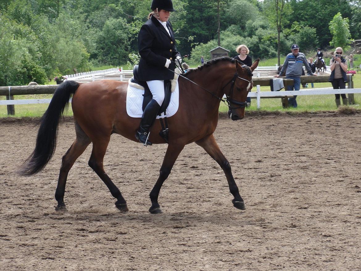 Sportsaraber (A) Youngstar Lukas - Mit Liv <3 - Børkop opvarmining 16 Juli 2012 billede 11