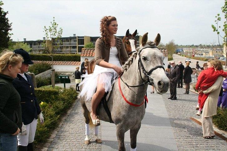 Anden særlig race Kløvermarks Rafall-SOLGT - You have given me the wings of an angel <3 billede 7