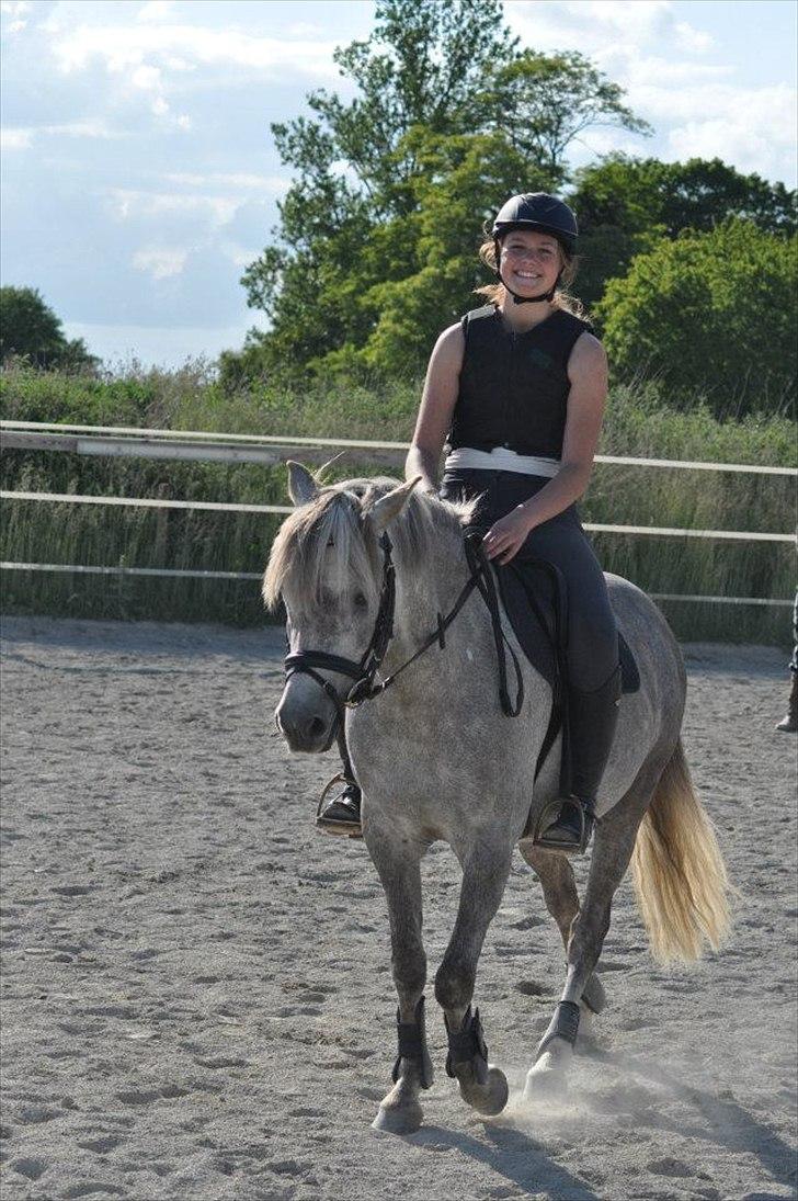 Anden særlig race Kløvermarks Rafall-SOLGT - Hyggelig spring dag med Bella og Claudia. Rafall var helt vildt glad... billede 8