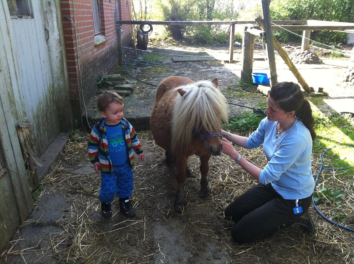 Miniature Puf billede 12