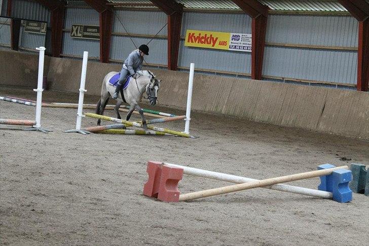 Anden særlig race Blakken - "There is no secret so close as that between a rider and his horse" billede 9