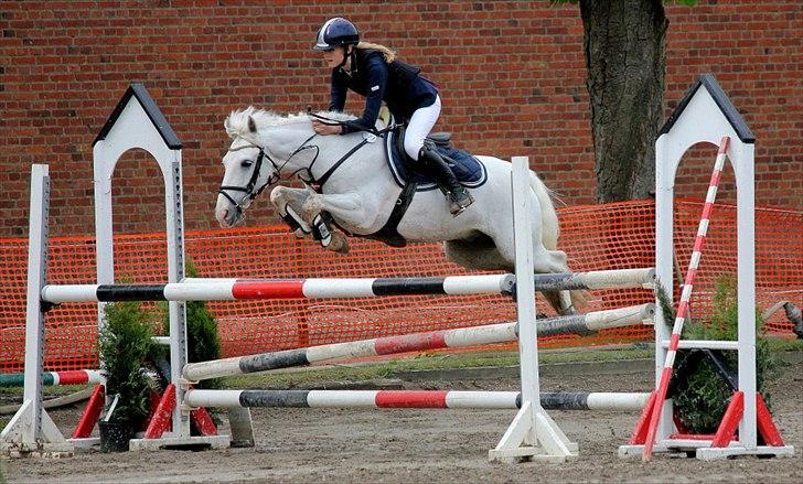 Anden særlig race CastleFarm Jimmy Blue B-pony - Hold-DM
Jimmy og jeg red nul i alle runderne <3 billede 6