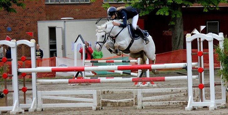 Anden særlig race CastleFarm Jimmy Blue B-pony - MA2** - stjerne jims <3 billede 12