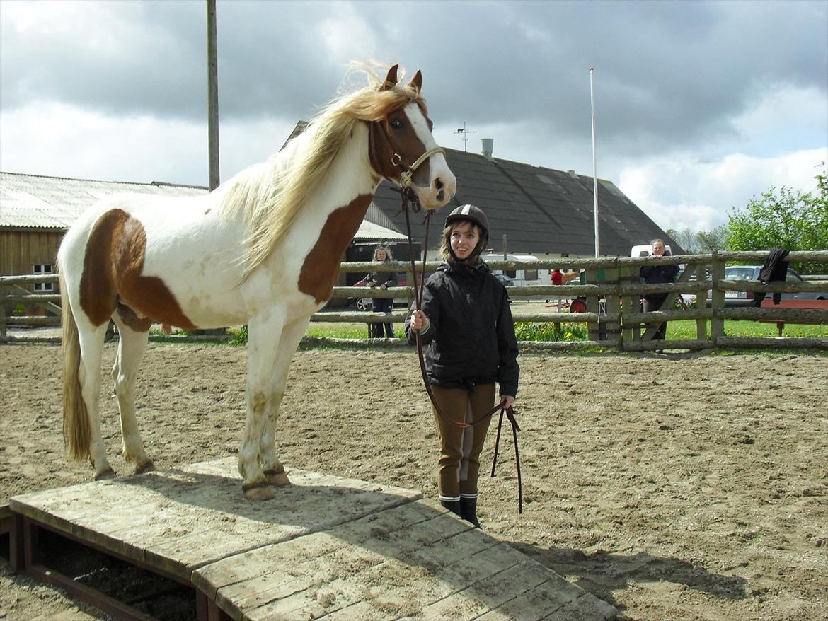 Islænder Fighte<3r  billede 11