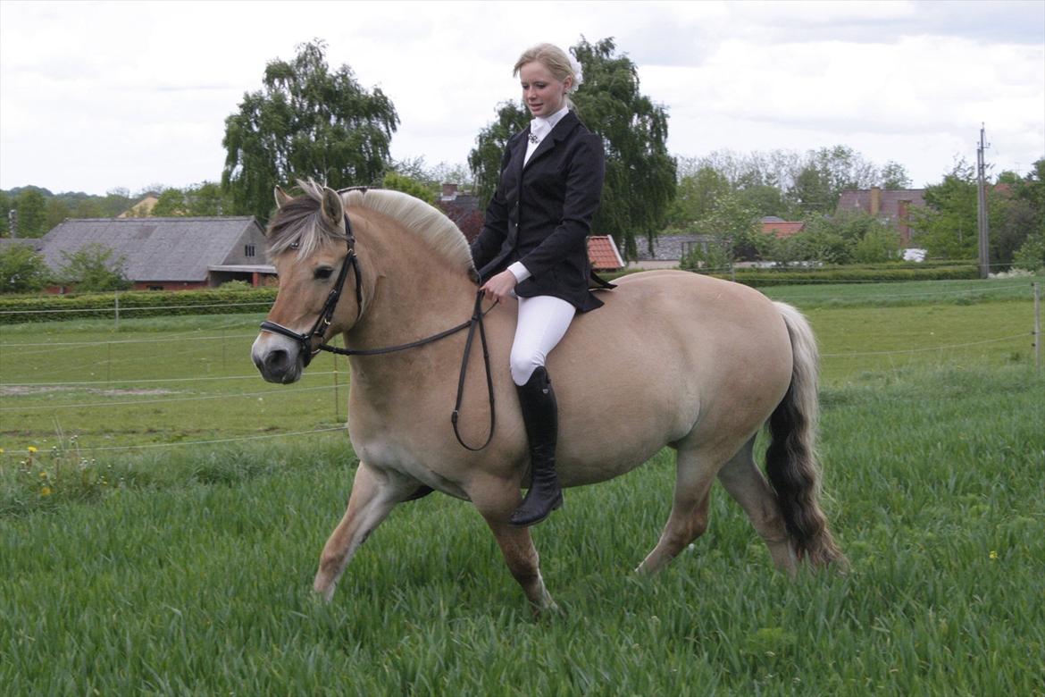 Fjordhest  Pia Bakkely (Pip <3) - Pony'pigen :-)<3 billede 9