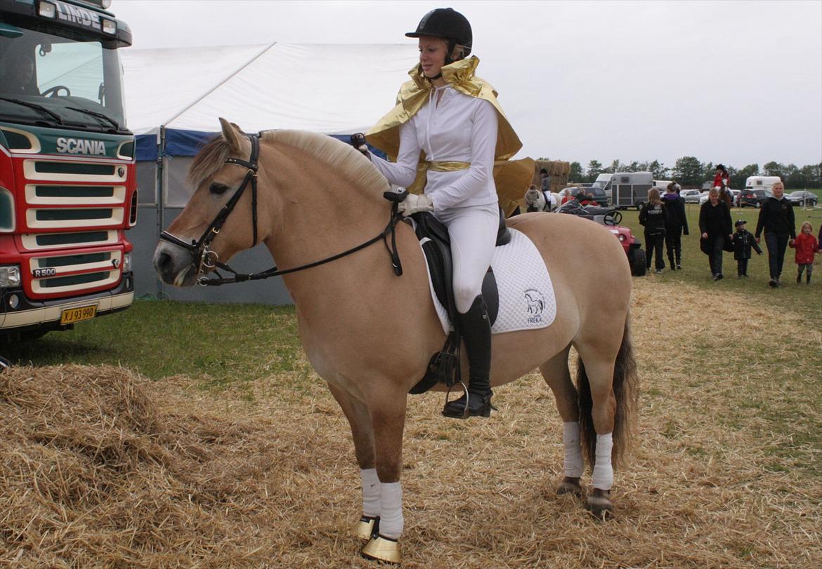 Fjordhest  Pia Bakkely (Pip <3) - Inden opvisning med Elvis tema på Gl. Estrup :-) billede 11
