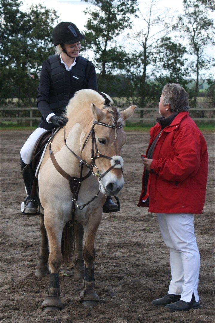 Fjordhest  Pia Bakkely (Pip <3) - 1. plads i LB*, skønne Pip! billede 13