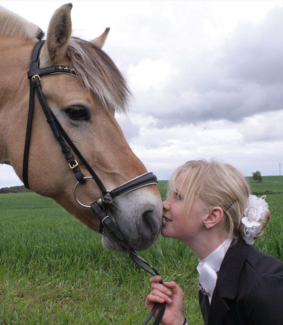 Fjordhest  Pia Bakkely (Pip <3) - 4. marts 2007 - den dag jeg fik min fantastiske hest, hun har ændret alt for mig. Nøj hvor er jeg glad for hende! :') billede 20