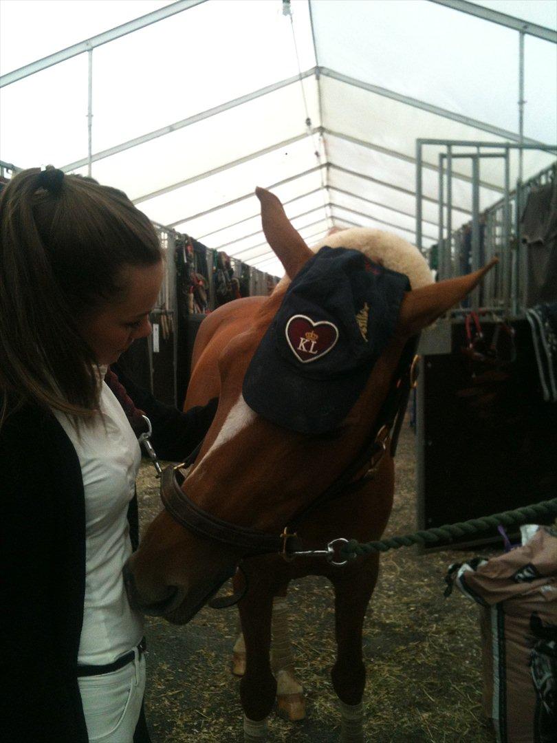 Svensk Sportspony  Funnys Fantasia - Mussi <3 billede 6