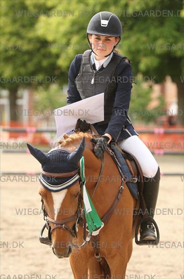 Svensk Sportspony  Funnys Fantasia - 3.plads i s'en i næstved 2012 billede 9