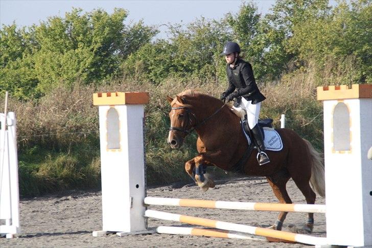 Breton Lukas - Sløjfe spring i DSM. billede 1