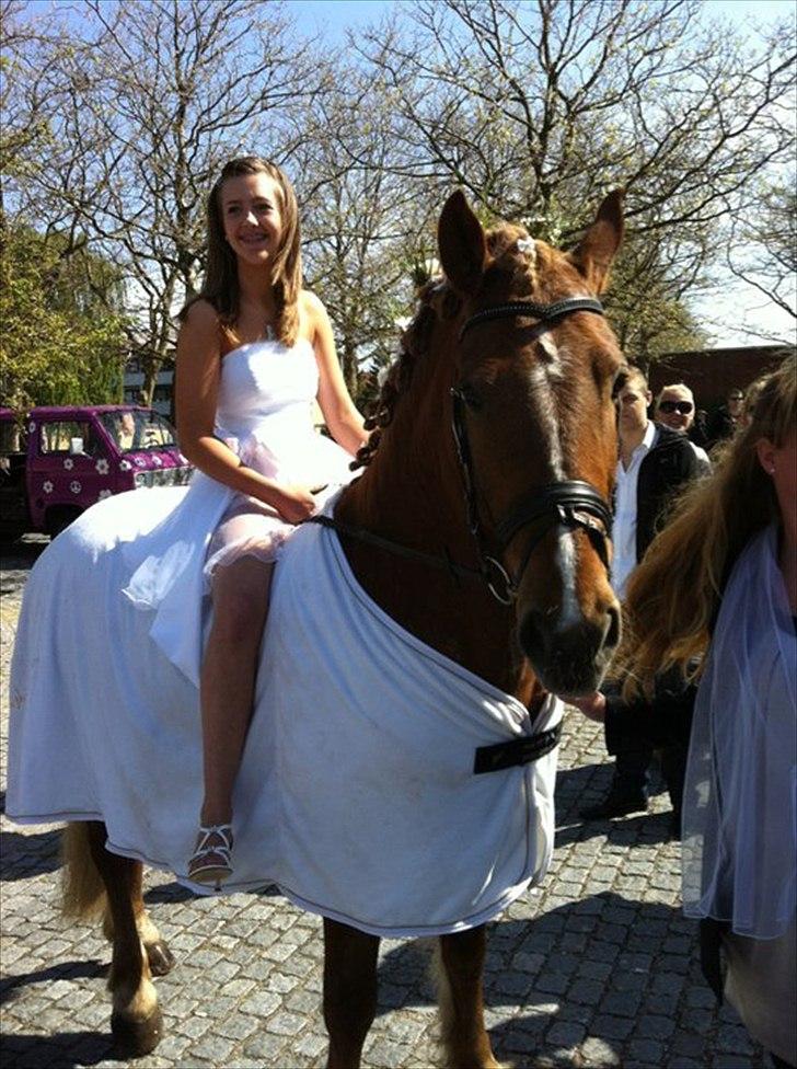 Breton Lukas - Lukas ved kirken til min konfirmation.  billede 2