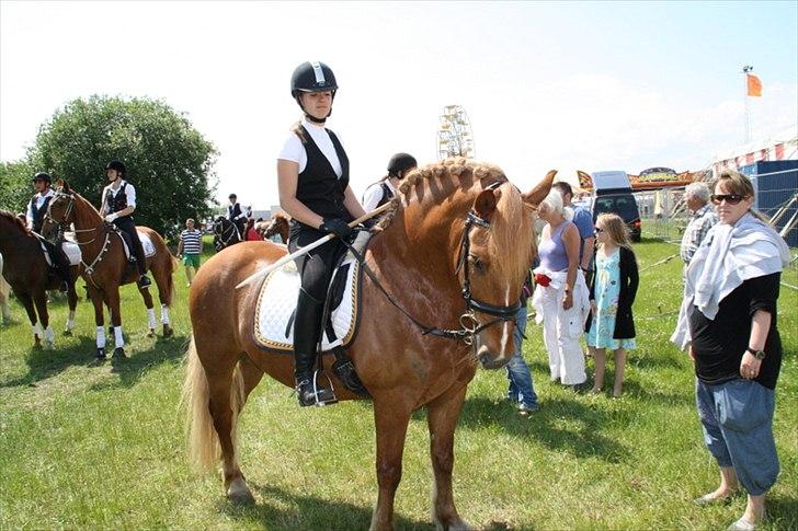 Breton Lukas - Ringridning på dragør markedet 2011. billede 3