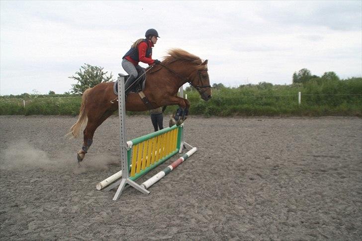 Breton Lukas - Spring igen. billede 5