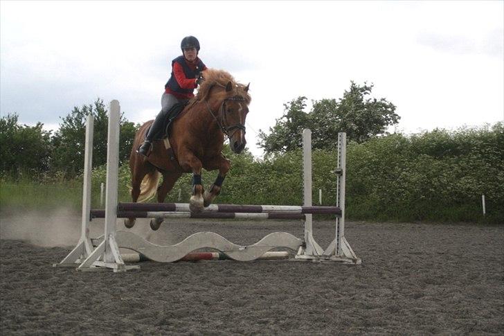 Breton Lukas - Mere springning :) billede 6