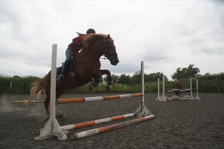 Breton Lukas - :)  billede 7