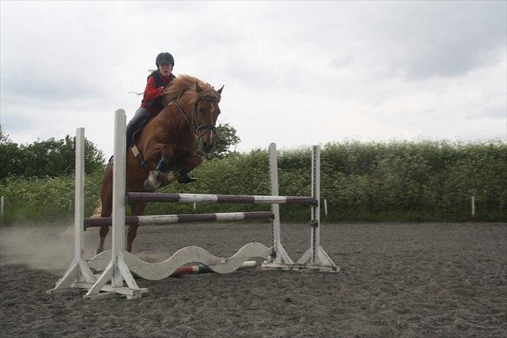 Breton Lukas - Lukas 1 m dygtige dreng<3 billede 8