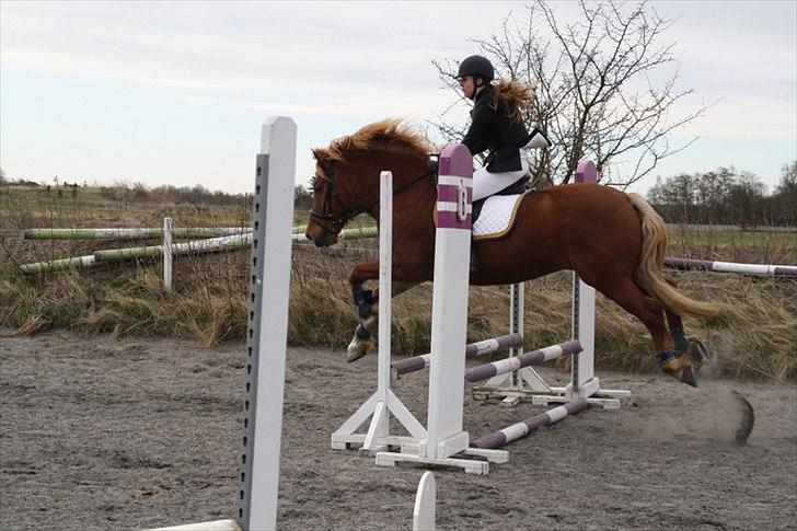 Breton Lukas - Stævne i DSM. billede 11