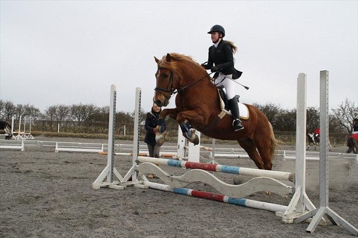 Breton Lukas - Stævne i DSM :) billede 12