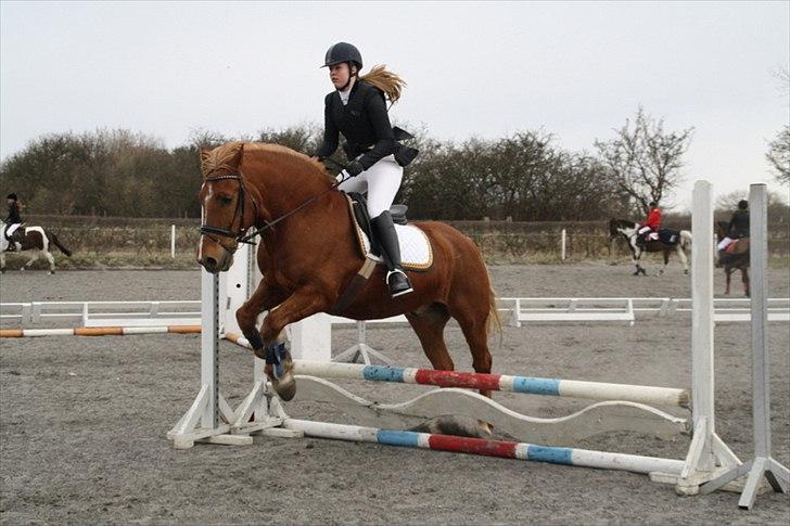 Breton Lukas - Stævne :D billede 14